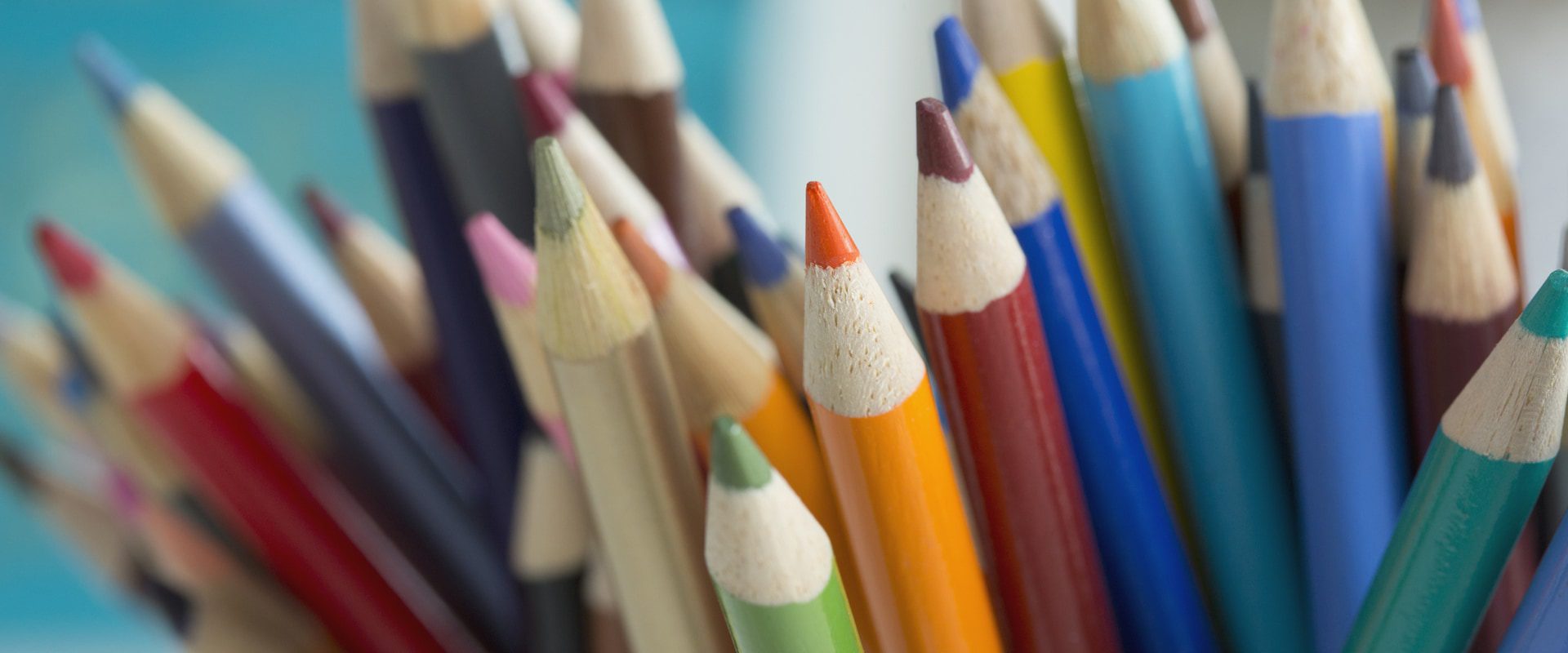 Close-up of sharpened colored pencils.